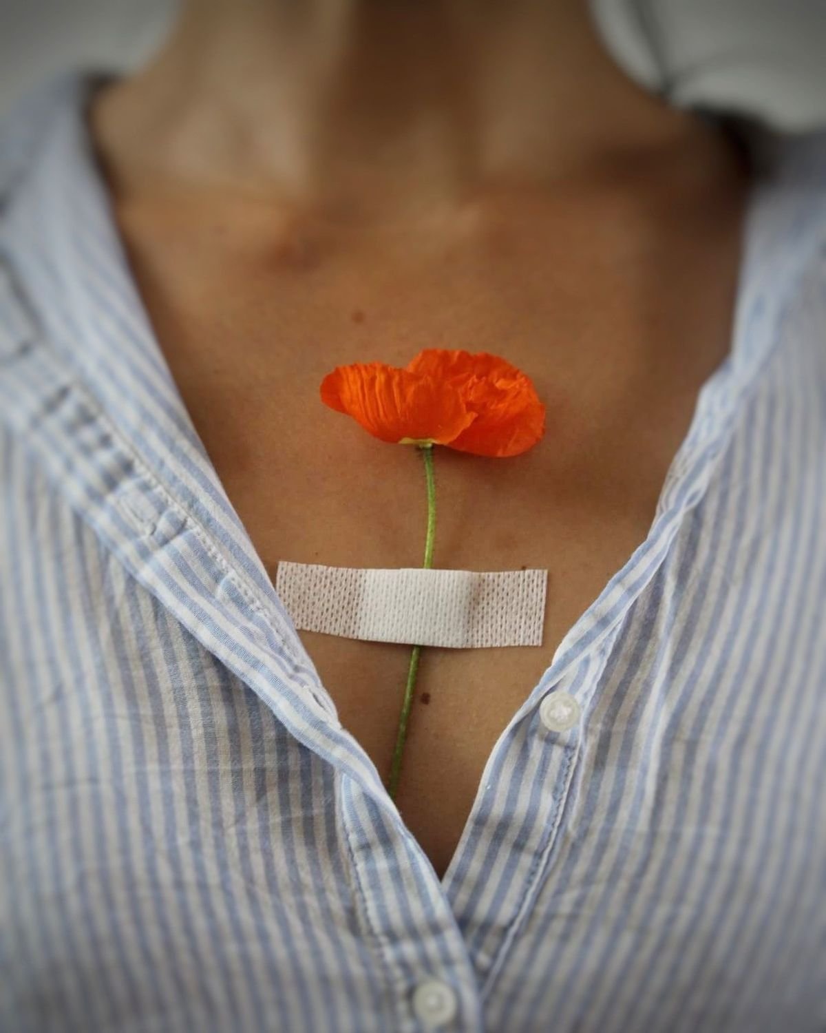 La primavera como cambio de estación emocional: la hora de brotar